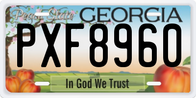 GA license plate PXF8960