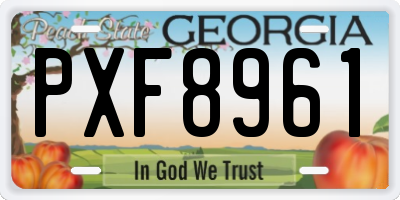 GA license plate PXF8961