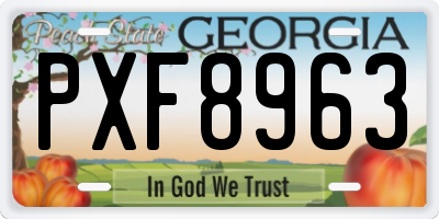 GA license plate PXF8963