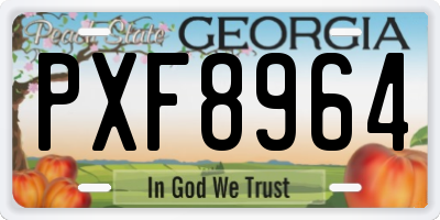 GA license plate PXF8964