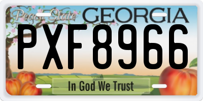 GA license plate PXF8966