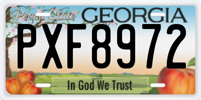 GA license plate PXF8972