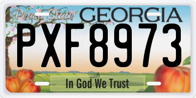 GA license plate PXF8973