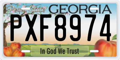 GA license plate PXF8974