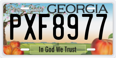 GA license plate PXF8977