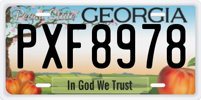 GA license plate PXF8978