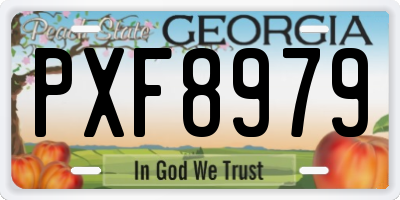 GA license plate PXF8979