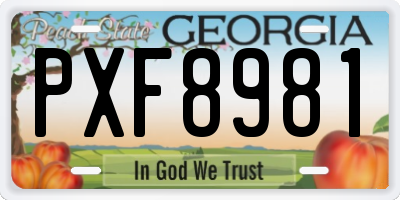 GA license plate PXF8981