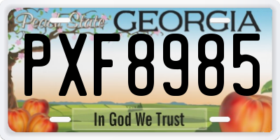 GA license plate PXF8985