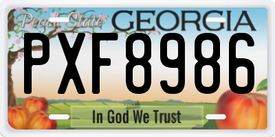 GA license plate PXF8986