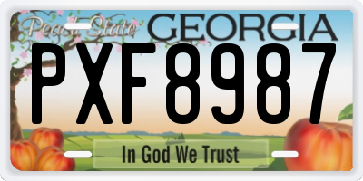 GA license plate PXF8987