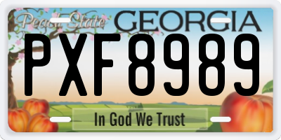 GA license plate PXF8989