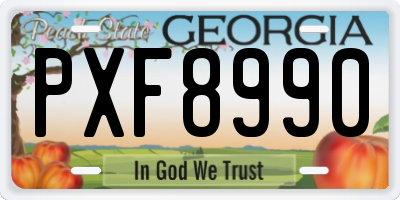 GA license plate PXF8990
