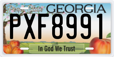 GA license plate PXF8991