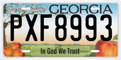 GA license plate PXF8993