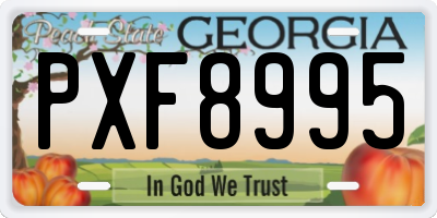 GA license plate PXF8995