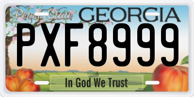 GA license plate PXF8999