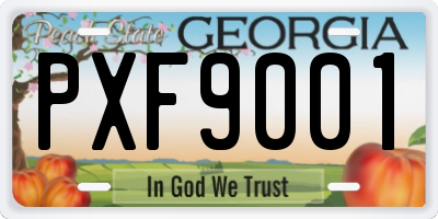 GA license plate PXF9001