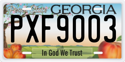 GA license plate PXF9003
