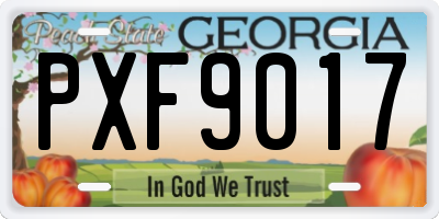 GA license plate PXF9017