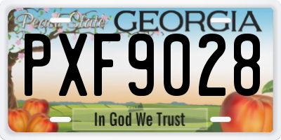 GA license plate PXF9028