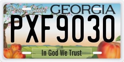 GA license plate PXF9030