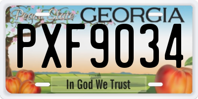 GA license plate PXF9034