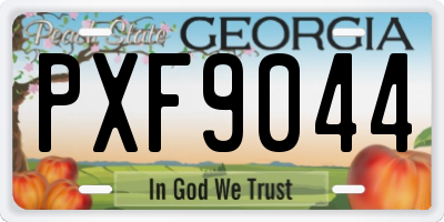 GA license plate PXF9044