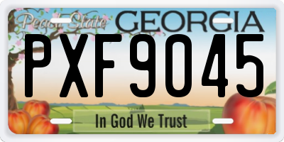 GA license plate PXF9045