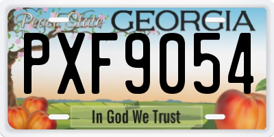 GA license plate PXF9054