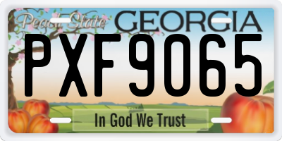 GA license plate PXF9065