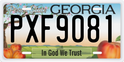 GA license plate PXF9081