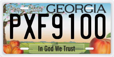 GA license plate PXF9100