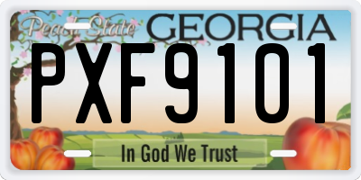 GA license plate PXF9101