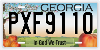 GA license plate PXF9110