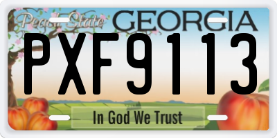 GA license plate PXF9113