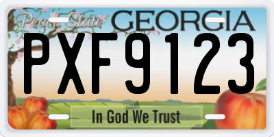 GA license plate PXF9123