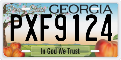 GA license plate PXF9124