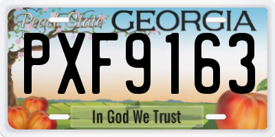 GA license plate PXF9163