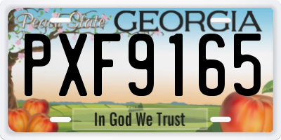 GA license plate PXF9165