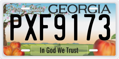 GA license plate PXF9173