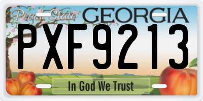 GA license plate PXF9213