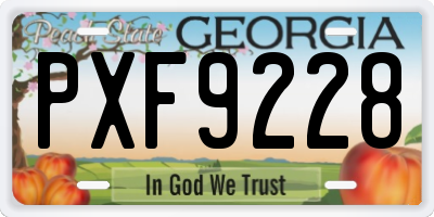 GA license plate PXF9228