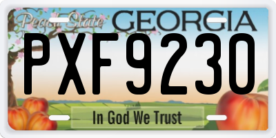 GA license plate PXF9230