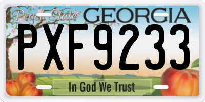 GA license plate PXF9233