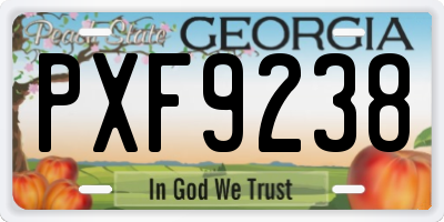 GA license plate PXF9238