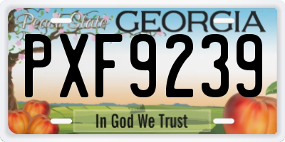 GA license plate PXF9239