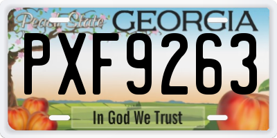GA license plate PXF9263