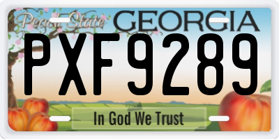 GA license plate PXF9289