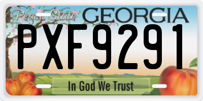 GA license plate PXF9291